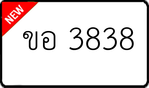 ขอ 3838